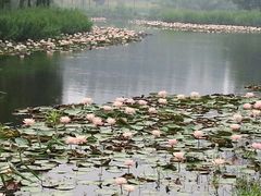 -艾溪湖湿地公园