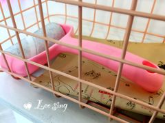 -有猫主题·治愈系猫咖(曾厝垵店)