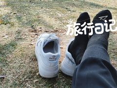 -深圳湾公园(南山区)