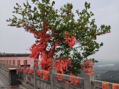-句容茅山景区