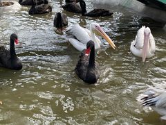 -水上乐园·欢乐世界