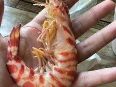 虎虾-蛇口市场