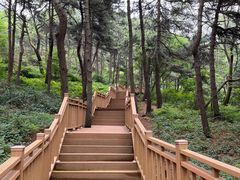 -鲁山国家森林公园