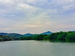 -佛手湖郊野公园