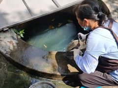 -水井拉粉油条(赤坎民国风情街店)