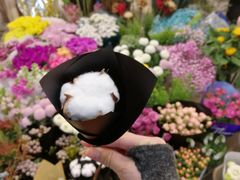 -双季花艺园艺市场(浦东店)