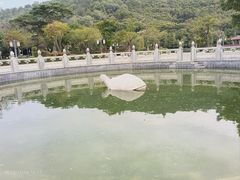 -顺峰山公园