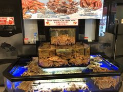 -蟹道乐(道顿堀本店)