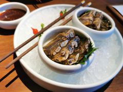 -CHIC1699远洋私厨