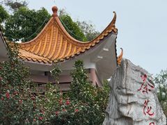 -白云山风景名胜区