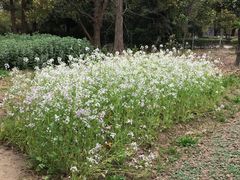 -长兴岛郊野公园农场食堂