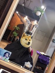 -ODIN 奥丁形象设计 