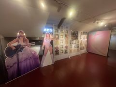 -树懒黑胶唱片店(中山路店)