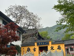 -杭州半山国家森林公园