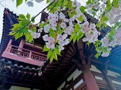 -西安市长乐公园