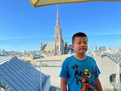 -斯蒂芬主教座堂(Stephansdom)