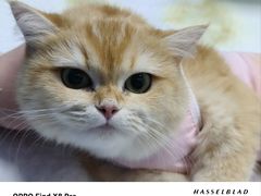 -达爱动物医院·犬猫分区·CT·复杂眼科(远洋山水分院)