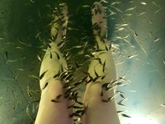 景点-溧阳天目湖天沐温泉