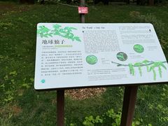 -昆明植物园