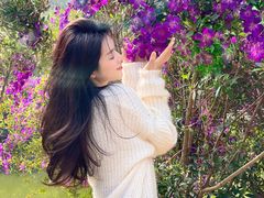 -南国桃园旅游度假区