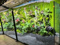 -绿色星球动物主题公园