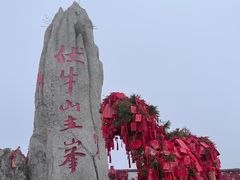 -洛阳国际大酒店