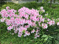 -杭州花家山庄