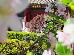 -海棠花溪(元大都城垣遗址公园)