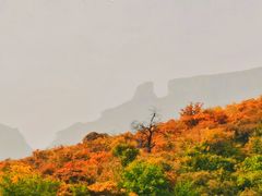 -周口店坡峰岭风景区