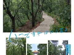 -沈阳辉山风景区