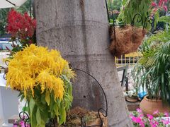 -百味馆·粤菜·湛江菜(后海花园店)