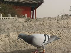 -青州市云门山风景区