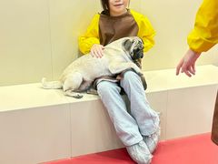 -和它·交个朋友·狗咖猫咖(爱琴海店)