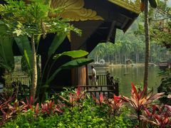 -西双版纳原始森林公园