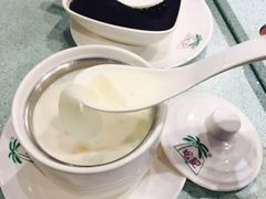 鲜奶海底椰炖花胶-松记糖水店(铜锣湾分店)