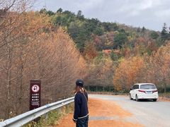 -东白山