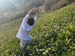 -敬亭山风景名胜区