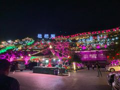 -枇杷园食为鲜火锅(南山店)