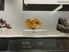-中国地质博物馆
