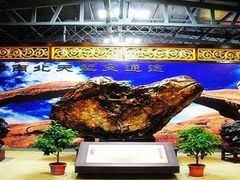 -游龙石文化科普馆