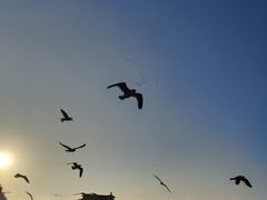 -蓬莱阁景区