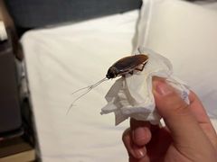 -三亚海棠湾万丽度假酒店