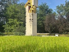 -北坞公园