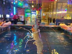 -钳真多钓虾馆·小龙虾海鲜烧烤(九六广场店)