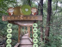 -大岭沟猕猴桃谷风景区