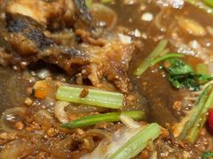 -老板恋上鱼(恒隆广场店)