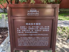 -北京市劳动人民文化宫(太庙)