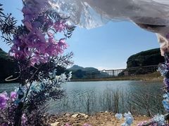 -秦王湖景区