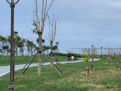 -天津妈祖文化园