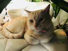 -小时光咖啡馆(北锣鼓巷店)
